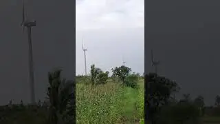 My trip 🌴🌴🍃🍃