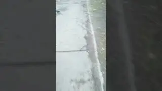 В погоне за одиночеством)