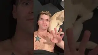 someone tell me it’s the stars fault
