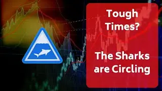 Tough Times? The Sharks are Circling