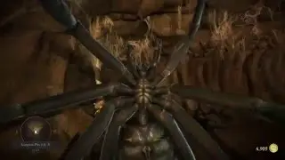 Mortal Kombat XL How many f****** spiders are there?!!