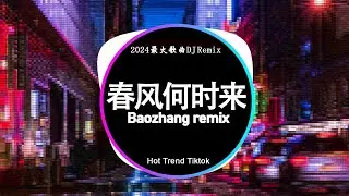 🔝2024年顶级夜店DJ舞曲 | 2024最火歌曲DJ Remix 抖音版⚡劲爆DJ歌曲大全: 春风何时来 / 飘洋过海来看你 / 你总要学会往前走 | Baozhang Remix