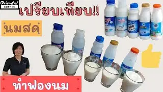 เปรียบเทียบ#นมสด แต่ละยี่ห้อ ..ตีฟองนมเย็น เหมือนกันมั้ย?? /Oriental Coffee #24