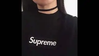 LIVRE FEITO PASSARINHO