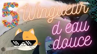 Wing foil 168 - 🆓 Light Freefly