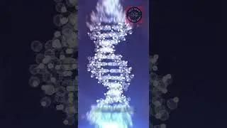 Ethics of Gene Editing and Genetic Engineering