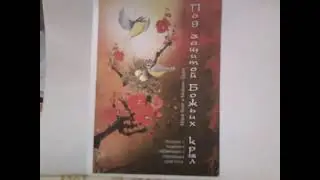 ПОД ЗАЩИТОЙ БОЖЬИХ КРЫЛ 8