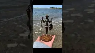 Unexpected things found on Beach! 😵