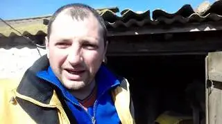 Стимулирующая подкормка пчел... легко... даже в марте!