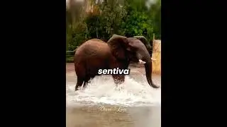 🥺🐘 The Painting That Hid His Loneliness