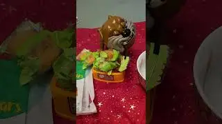 Mango Bars for maddog #ASMR #satisfying sounds #viral dog #shorts (1)