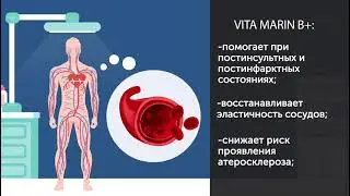 Vita Marine B+