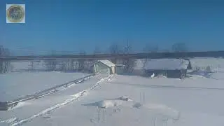Как вам погода, природа и Лиса за окном?
