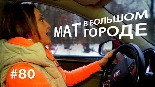 Мат в большом городе // Всё как у зверей #80