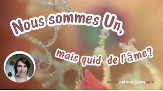 Nous sommes Un... la question de la place de l'âme ❤️