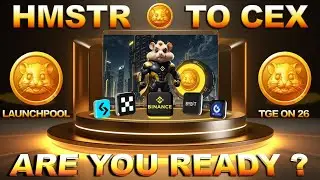 TUTORIAL WITHDRAW HAMSTER KOMBAT KE EXCHANGE & PENJELASAN LAUNCHPOOL & LISTING $HMSTR DI BINANCE