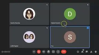 Meet: Layout / Tiled view Updated 5/2021
