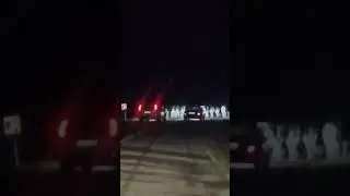 Коровы по среди Дороги , Беларусь