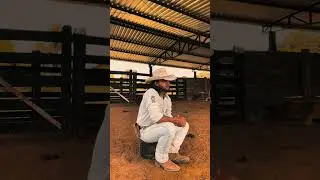História bonita