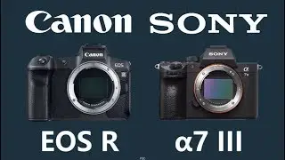 Canon EOS R vs Sony a7 III