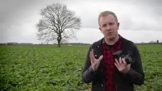 Photography tips - How to shoot a silhouette using auto exposure lock