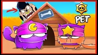 BRAWL STARS ANIMATION - PET BRAWLERS