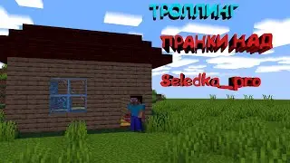 Троллинг seledka_pro в Майнкрафте