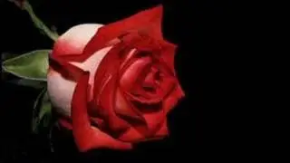 Dursun Ali Erzincanlı - Sen Gidince (Sadece Fon Müziği )