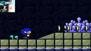 Прохождение Sunky The Game, Супер пародия на Sonic-а!