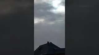 тихое утро