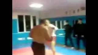 Псы  Путина против псов Кадырова
