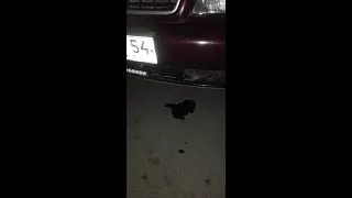 Очередное фиаско.. бочЁк потик... Замена радиатора ауди А4 б5 #Audi #AudiA4B5 #AudiA4