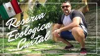 Así es una RESERVA ECOLOGICA en México / Reserva Cuxtal 2021 - Mérida Yucatan.
