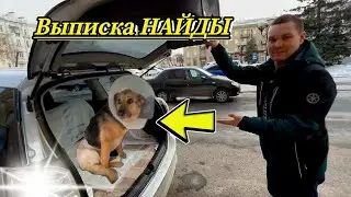 Забрали НАЙДУ с клиники 