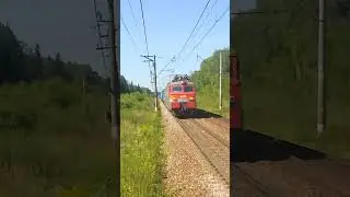 ВЛ11-411 С контейнерами в сторону Сандарово