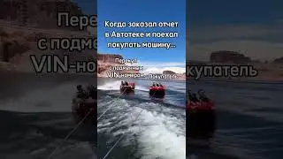 Всегда сверяйте VIN - номер в отчете с тем, который вы видите на реальной машине! #автоподбор