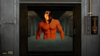 Strong obunga came after us... Funny moments
