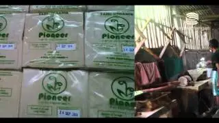 PIONEER : Merawat Makanan Tradisional, Menyelamatkan Petani Kedelai Organik