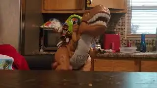More Jake