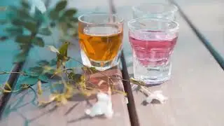 Νότης Μηταράκης | Υπουργός Προστασίας του Πολίτη
