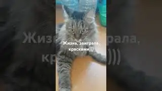 Жизнь заиграла красками)) 