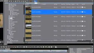 09. Organizing Your Media (Easy Editing with EDIUS)