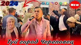 Туй город Череповец,22,09,2024