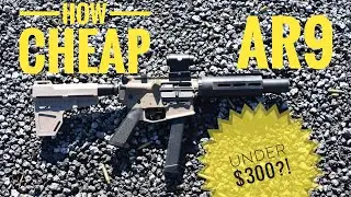 HOW CHEAP Can You Build An AR9?