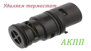 Removing the BMW thermostat