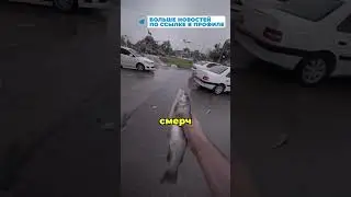 РЫБНЫЙ ДОЖДЬ 