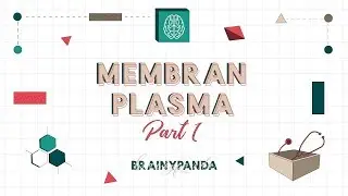 Membran Plasma: Struktur Membran Plasma | Ilmu Biomedik Dasar | Brainy Panda
