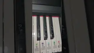 Keyboard and Piano Stickers to help new players learn piano faster.