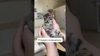 Прощай Энди 😭💔💔💔🌈
