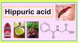 hippuric acid
